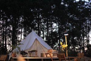 Home Luxe glamping accommodatie in een Nederlandse 5-sterren camping omgeven door natuur en water